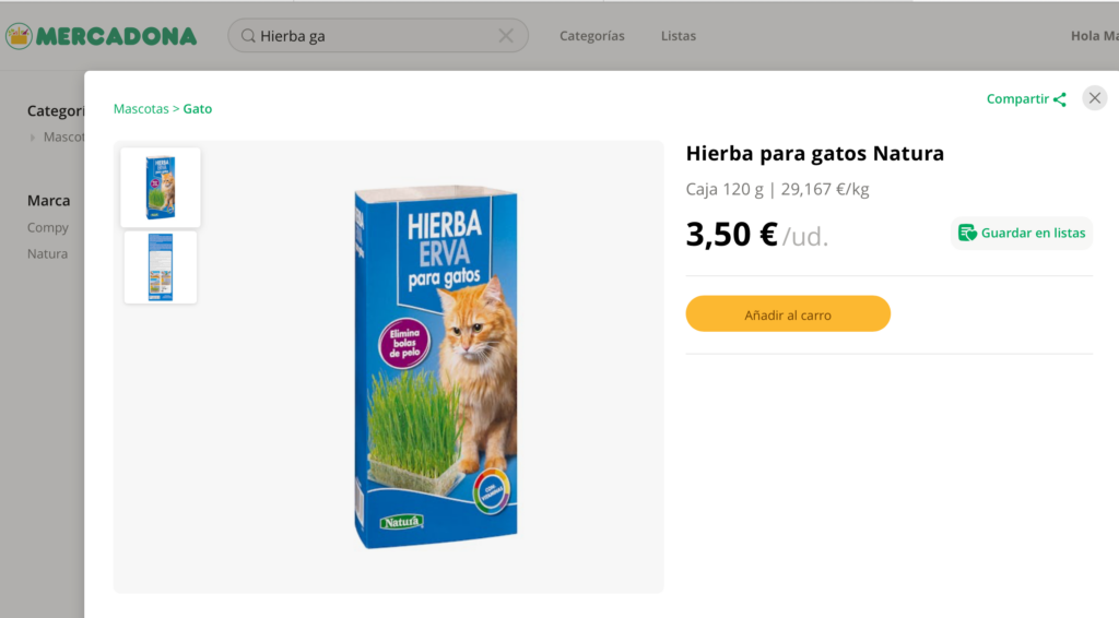 hierba gatera lady catsitter cuidado de gatos a domicilio